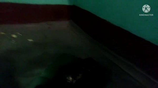 ДОЛГОЖДАННАЯ РЕСТАВРАЦИЯ ПЛАСТИЛИНОВОГО ЛАДА ЛАРГУС