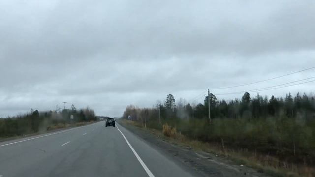 Зима близко // Приобрели перепелок смотреть онлайн