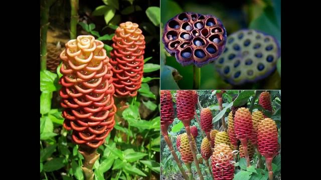 Идеи для рисования карандашом, маркером, граффити баллончиком. смотреть онлайн