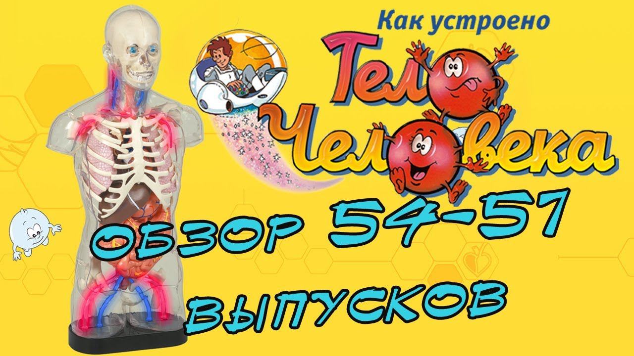 Как устроено тело человека | DeAgostini | 54-57 выпуски смотреть онлайн