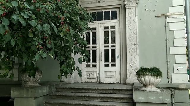 Чайные пары для души! ЛФЗ, ДУЛËВО. Самый красивый дом Новосибирска. смотреть онлайн