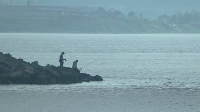 Бесплатный гектар в Арктике каждому россиянину смотреть онлайн