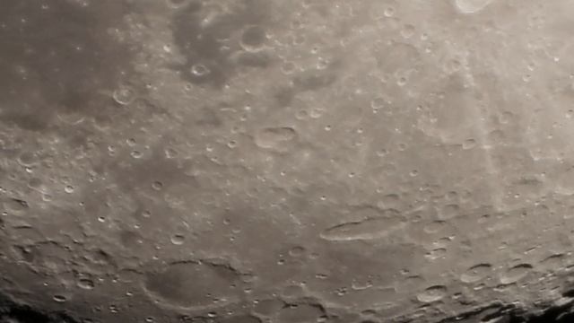 Летучая мышь на фоне Луны 26 марта 2021 смотреть онлайн