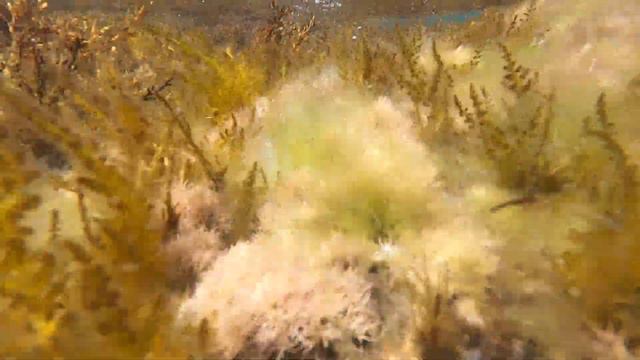 Крым Мыс Фиолент смотреть онлайн