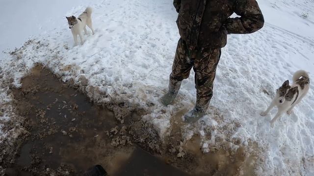 СУРОВАЯ ПРАВДА. Что происходит зимой с рыбой в малых озёрах ? смотреть онлайн