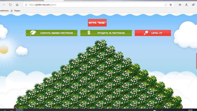 Голден тиа, грамотный подход к инвестиционным проектам!!!