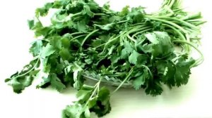 КИНЗА ( КОРИАНДР), ЛЕЧЕБНЫЕ СВОЙСТВА И ПРОТИВОПОКАЗАНИЯ. НАРОДНАЯ МЕДИЦИНА.