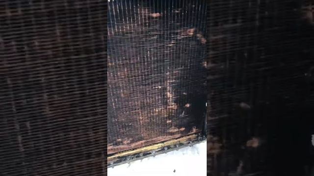 МТЗ Дёшево радиатор. смотреть онлайн