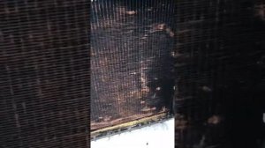 МТЗ Дёшево радиатор.