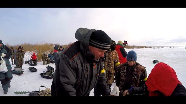 Рыболовные соревнования "Зимний Хищник 2017". Взвешивание. смотреть онлайн