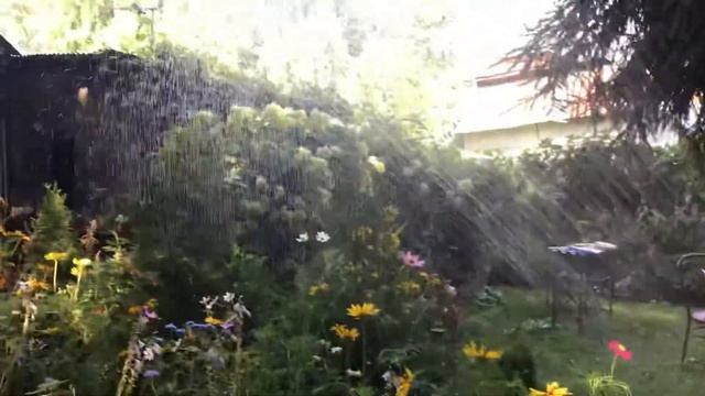 СКАЗКА солнечного СВЕТА;))