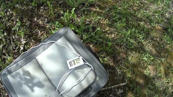 Подсадка маточников в нуклеусы