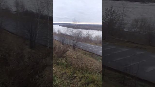 А трава ещё зелёная. Поразительно тёплый ноябрь. Приглашаю на лесные экскурсии смотреть онлайн