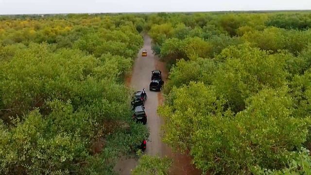 Beruniy To'y Beruniy OFY To'ylari Beruniy Kartej Kortej Gulyanka