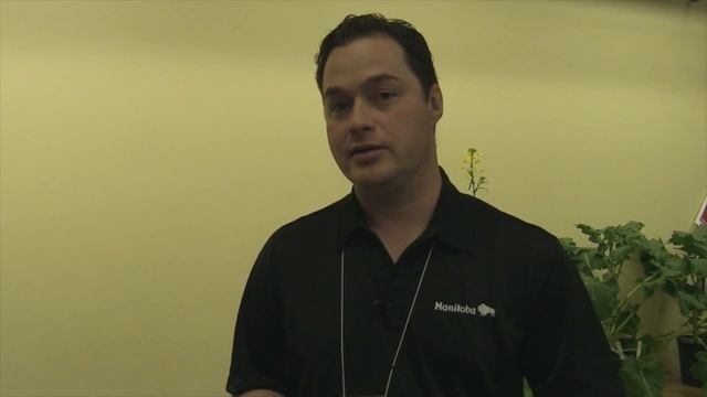 Canola School: Intercropping Peas And Canola 101