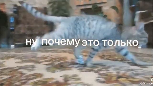 Почему это только во сне?? Мурзи больше нет... смотреть онлайн