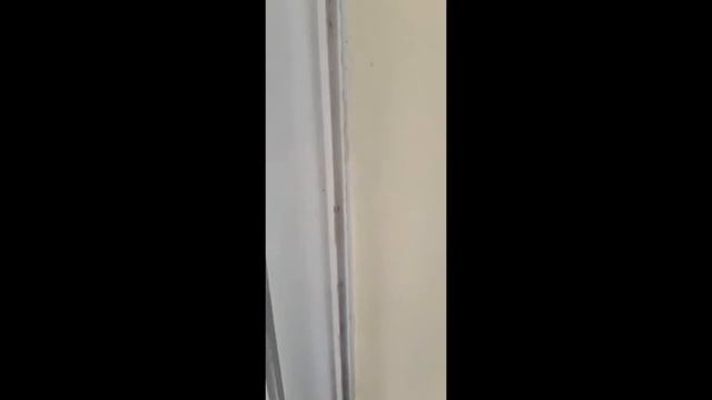 ორთქლით წმენდა смотреть онлайн