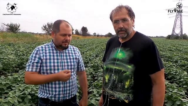 Применение трихограммы, первая генерация вредителей смотреть онлайн