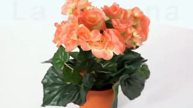 Flores artificiales - Planta flores begonias artificiales salmón 24 - La Llimona смотреть онлайн