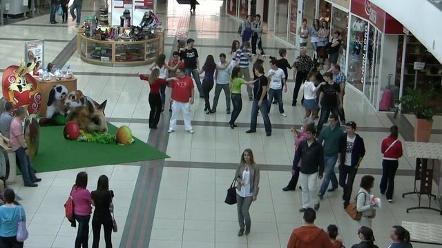 International Bachata Flashmob Debrecen (place 1) смотреть онлайн