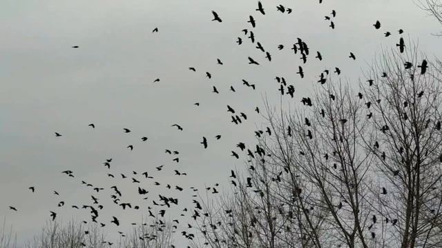 Учебник по Творчеству