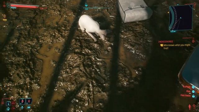 Cyberpunk 2077 Hidden Beast of the Sea смотреть онлайн