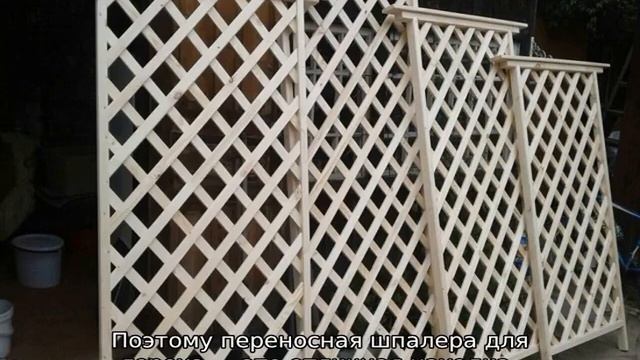 Как подвязать горох смотреть онлайн