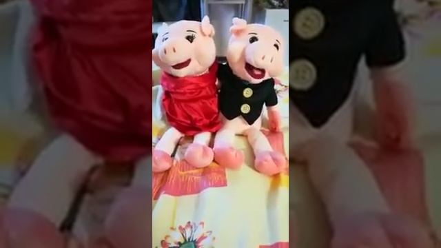 Год свиньи 2019,папа купил поющих свинюшек смотреть онлайн