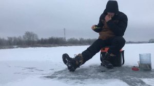 ЗАКОРМИЛ ХЛЕБОМ и рыба попёрла!!! Первый лед 2024. Ловля на мормышку плотвы и окуня