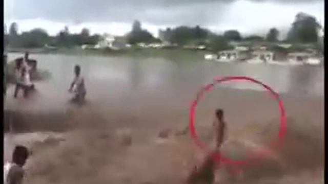 Чудеса Аллаха смотреть онлайн