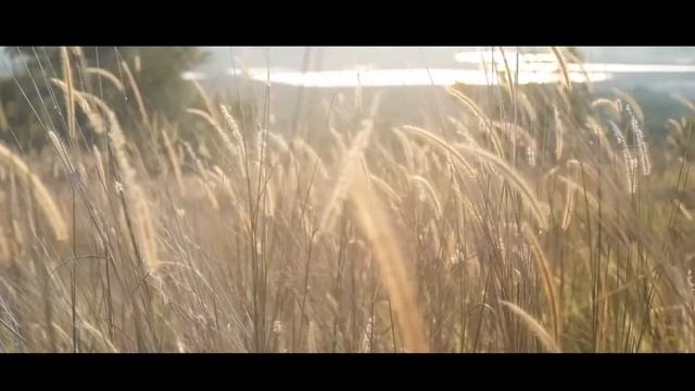 Cinematic Tone With Fujifilm X T10 Part 2 - Classic Chrome Film Simulation смотреть онлайн