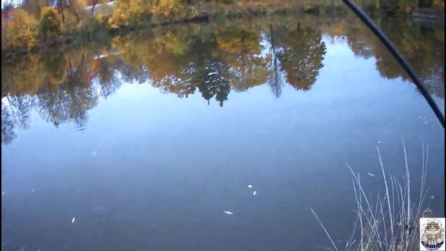 Трёх часовой МОРМОВЖИГ МАТАГИ 662 смотреть онлайн