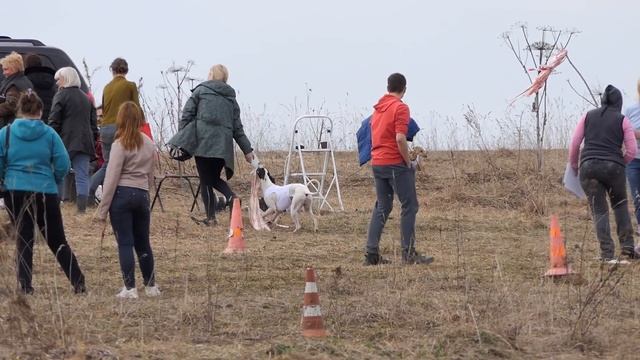 Уиппет Скай, Рейси-style-2)) смотреть онлайн