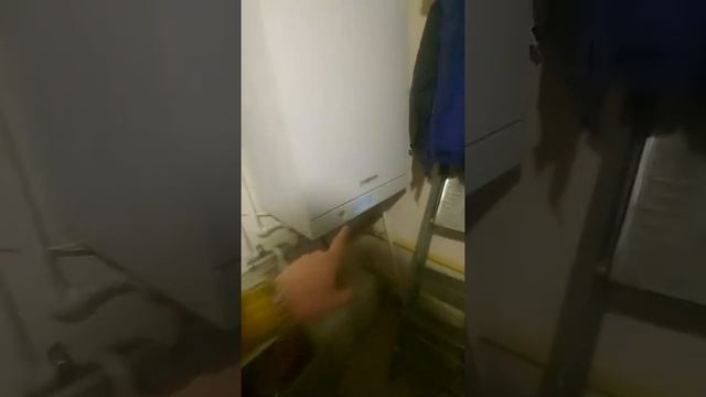 Инспекция котельной 2. Почему большой расход газа в частном доме? смотреть онлайн