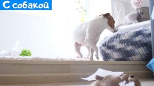 ЖИЗНЬ С СОБАКОЙ vs ЖИЗНЬ БЕЗ СОБАКИ | СКЕТЧ | Darina Sweet