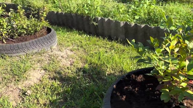 Это нужно успеть сделать перед дождём. смотреть онлайн