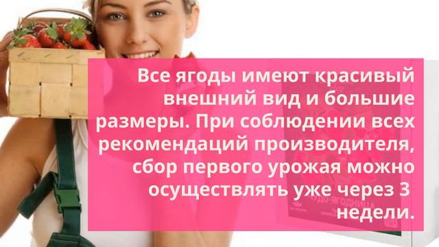 Чудо ягодница сказочный сбор - чудо-ягодница «сказочный сбор - чудо-ягодница «сказочный сбор» смотреть онлайн