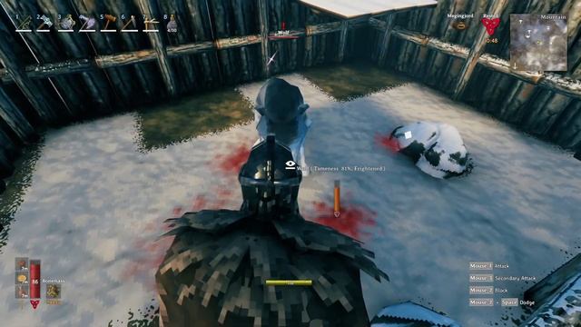Valheim Quick Tips on Taming a 2 Star Wolf смотреть онлайн