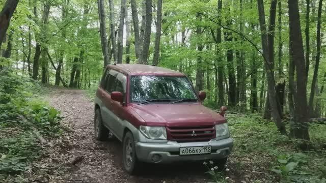 #почему человек выбирает #лес