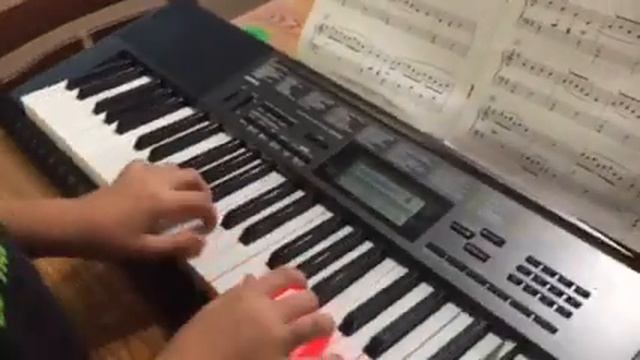Casio LK-265 Portable Keyboard смотреть онлайн