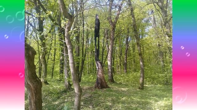 То, во что вы верите, то что ожидаете - все исполнится смотреть онлайн
