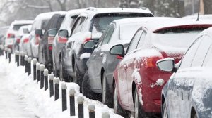 ОСТОРОЖНО! Куры БИЛЕФЕЛЬДЕР