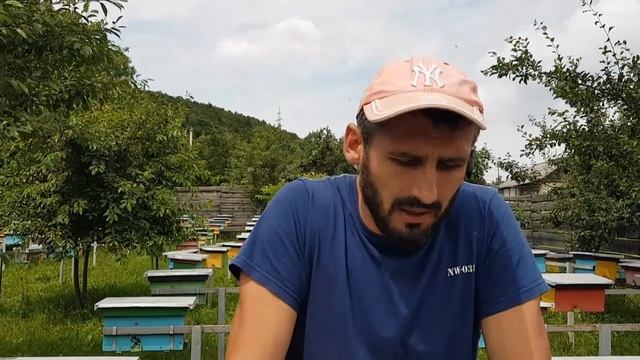 Как мы ведём учёт по нуклеусному парку 22.06.2019 смотреть онлайн