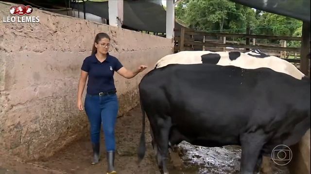 GLOBO RURAL HOJE COMPLETO 28/01/2024 #GLOBORURAL #GloboRuralCompleto #GloboRuralDeHoje смотреть онлайн
