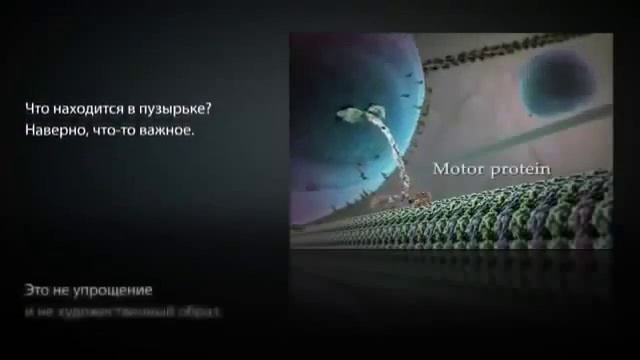 - Как живёт клетка. Космос внутри нас - смотреть онлайн