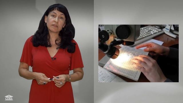 Лекция Шапиро Л.Г., доктора юридических наук, профессора смотреть онлайн