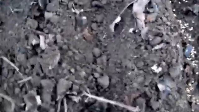 Смешанная грядка. Посев 16 апреля 2012.mp4 смотреть онлайн