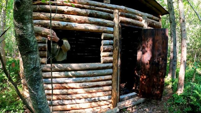 Окно и дверь на месте||Hut in the wild forest||Window and door смотреть онлайн