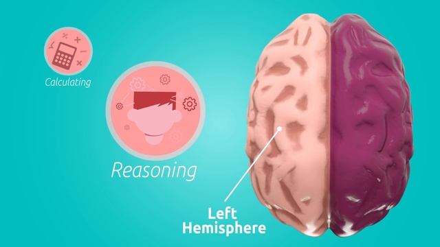 The Brain for Kids - What is the brain and how does it work? смотреть онлайн