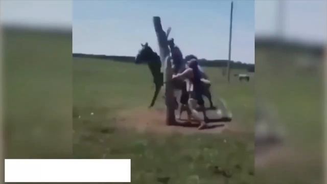 Kameraga Tushib Qolgan Omadli Inson